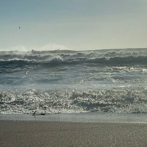 Meet your Posher, Genevieve